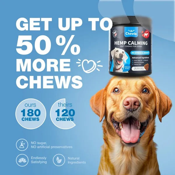 Hemp Calming Chews For Dogs Dog Calming Treats Anxiety Relief For Dogs - Wellora