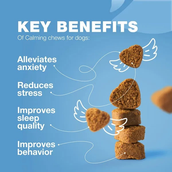 Hemp Calming Chews For Dogs Dog Calming Treats Anxiety Relief For Dogs - Wellora